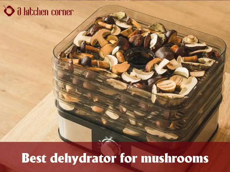 Best dehydrator for mushrooms