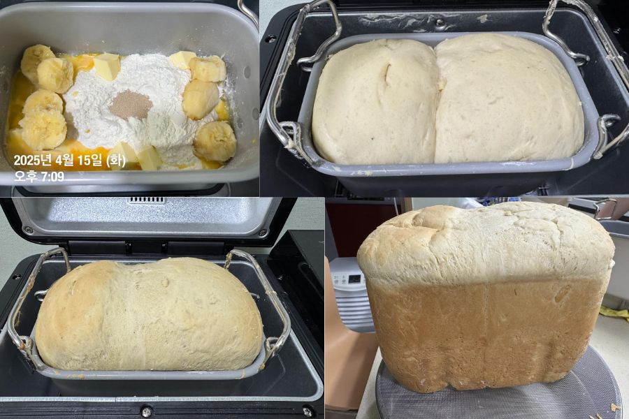 best bread machines for pizza dough