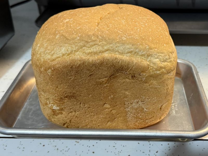 euhomy-bread-maker-machine-review-1