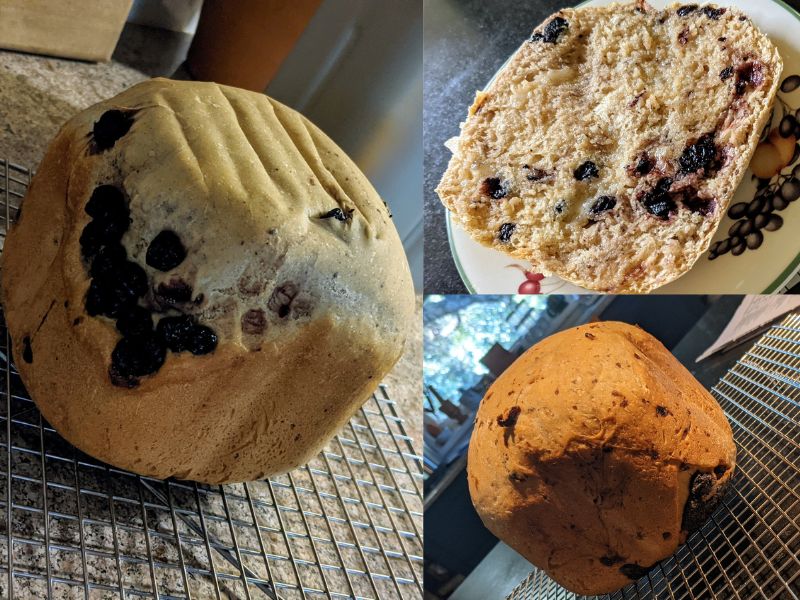 oster-bread-maker-review-8